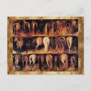 Horses' Hindquarters Postcard