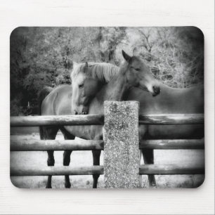 Horses Hugging - Horse Love Photograph Mouse Mat