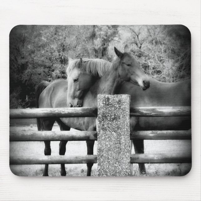 Horses Hugging - Horse Love Photograph Mouse Mat (Front)
