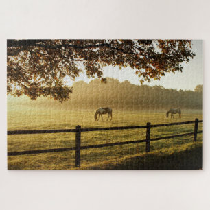 Horses in a field on a sunny morning jigsaw puzzle