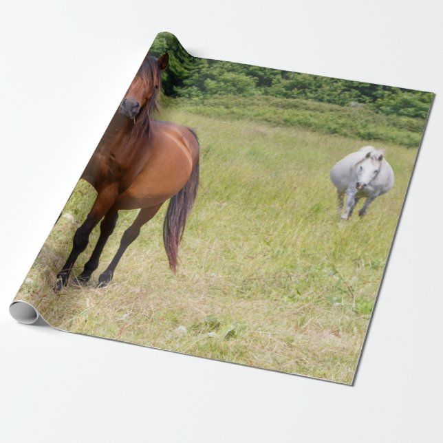 Horses in a field wrapping paper (Unrolled)