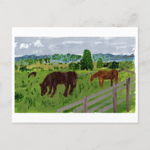 Horses in a lovely pasture postcard