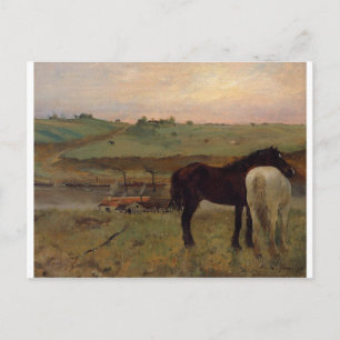 Horses in a Meadow by Edgar Degas Postcard