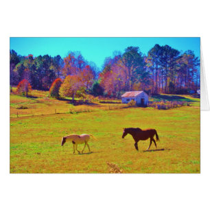 Horses in a Rainbow Coloured Field