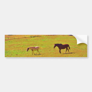 Horses in a Rainbow Coloured Field Bumper Sticker