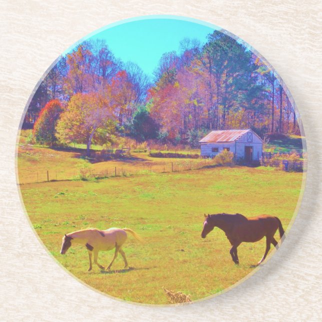 Horses in a Rainbow Coloured Field Coaster (Front)