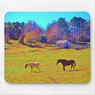 Horses in a Rainbow Coloured Field Mouse Mat