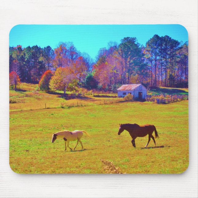 Horses in a Rainbow Coloured Field Mouse Mat (Front)