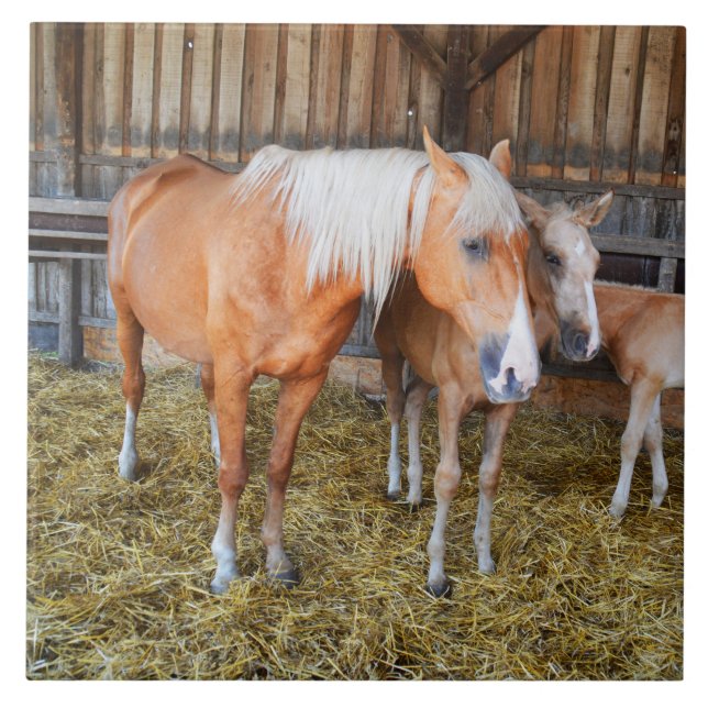 Horses in a stable tile (Front)