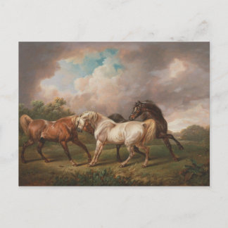 Horses in a storm postcard
