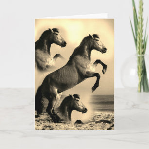 Horses in art card