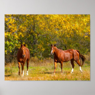 Horses in Autumn Poster