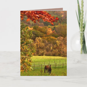 Horses in Autumn Thanksgiving Holiday Card