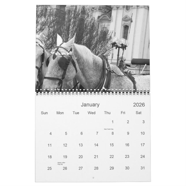 Horses in BLACK & WHITE Large 2009 Calendar (Jan 2026)