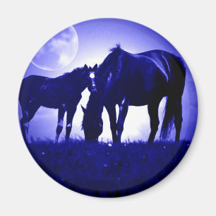 Horses in Blue Night Magnet