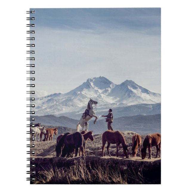 HORSES IN BROWN OPEN FIELD VIEWING MOUNTAIN AT DAY NOTEBOOK (Front)