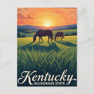Horses in Lexington Kentucky Sunset Postcard
