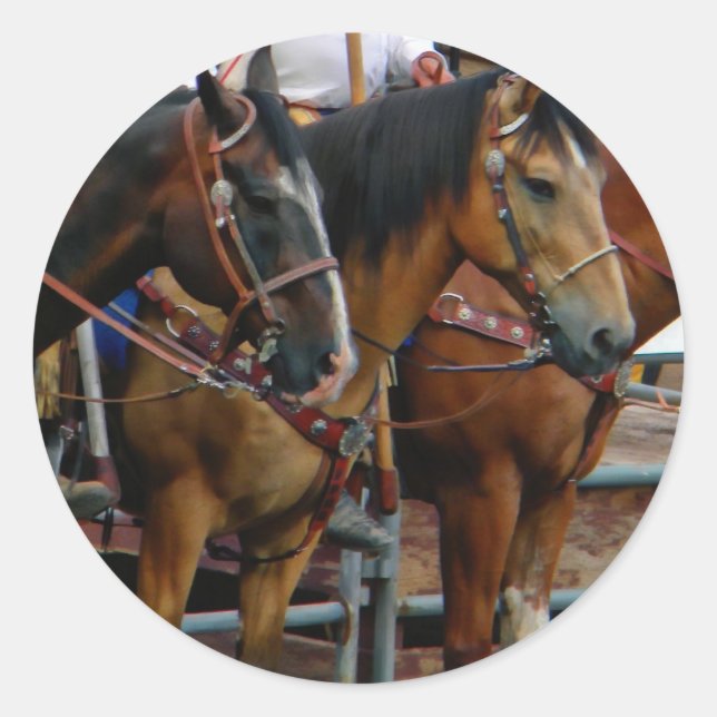 Horses in Line Classic Round Sticker (Front)