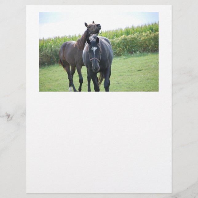 Horses in Love (Front)