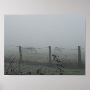 Horses In Morning Fog Poster