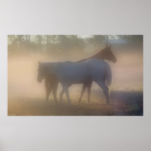 Horses in Morning Mist