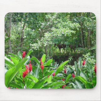 Horses in Paradise Mouse Mat