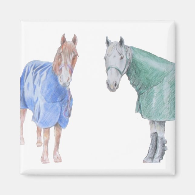 Horses in Rugs Magnet (Front)