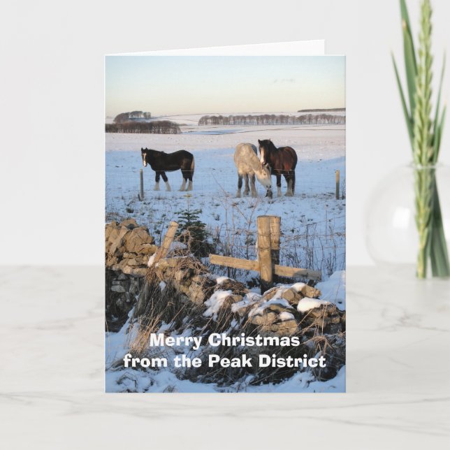 Horses-in-snow card (Front)