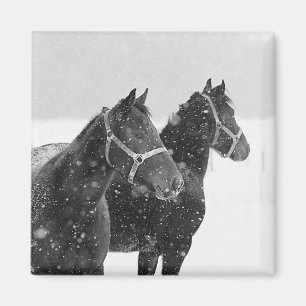 Horses in Snowfall Magnet