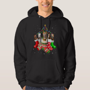 Horses In Socks Christmas Lights Pajama Funny Hors Hoodie