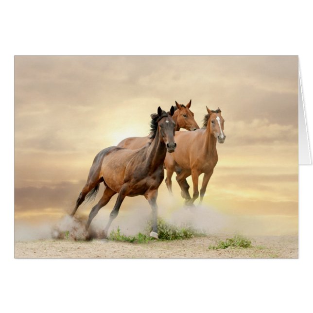 Horses In Sunset (Front Horizontal)