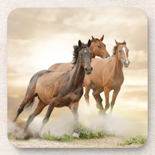 Horses In Sunset Coaster (Front)