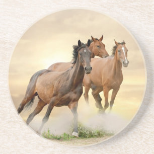 Horses In Sunset Coaster