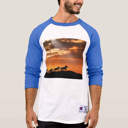 Horses in sunset T-Shirt
