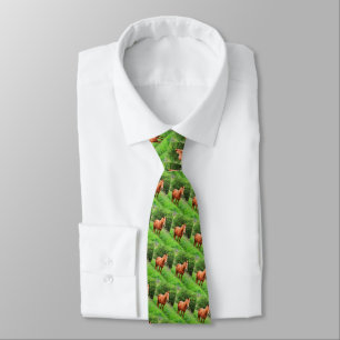 Horses in the countryside tie