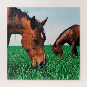 Horses In The Field Jigsaw Puzzle