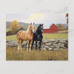 Horses in the Field Rustic Farm Postcard