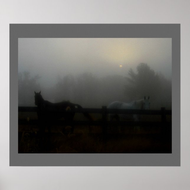 Horses in the Fog Poster (Front)