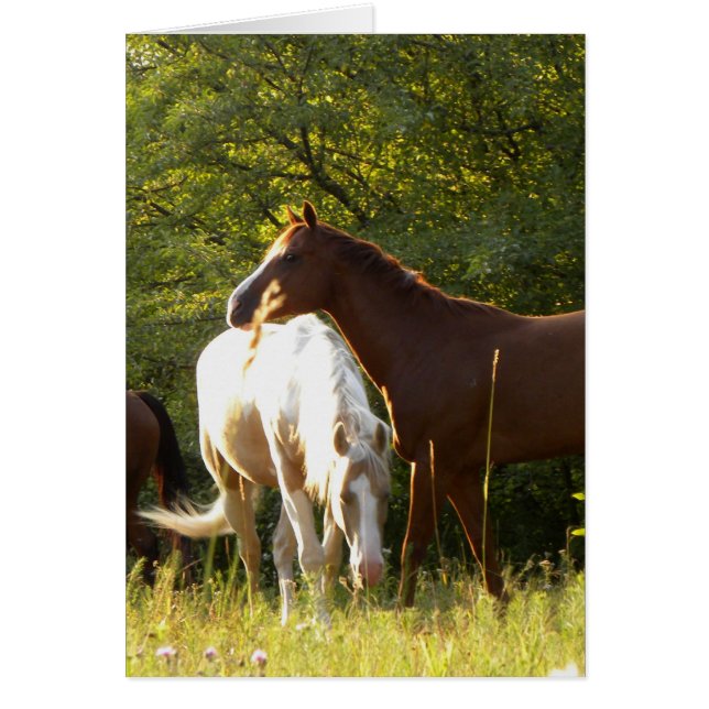 Horses in the Meadow (Front)