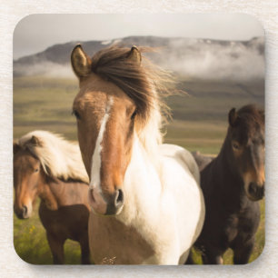 Horses in the Mountains Beautiful and Majestic Coaster