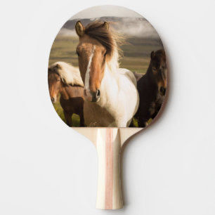 Horses in the Mountains Beautiful and Majestic Ping Pong Paddle