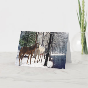 Horses In The Snow Greeting Card