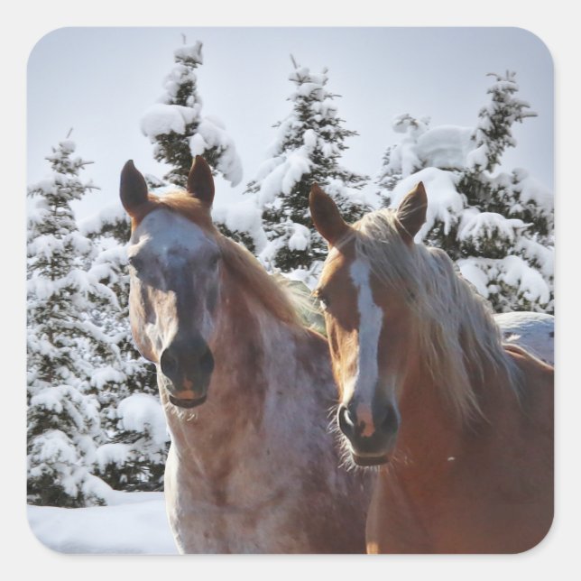 Horses in the Snow Holiday Christmas Square Sticker (Front)