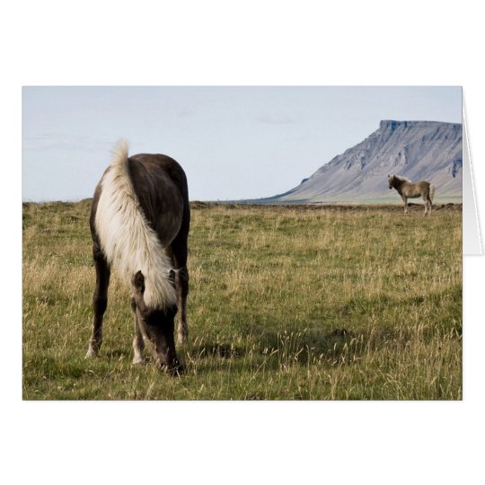 Horses in Whale-fjord Card
