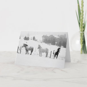 Horses In Winter Holiday Card