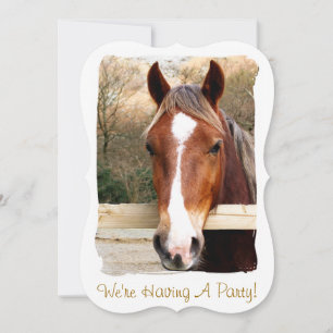 HORSES INVITATION