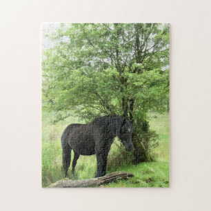 HORSES JIGSAW PUZZLE