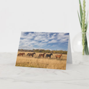 Horses Just Outside Grand Teton National Park Card