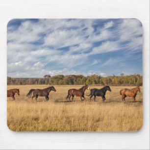 Horses Just Outside Grand Teton National Park Mouse Mat