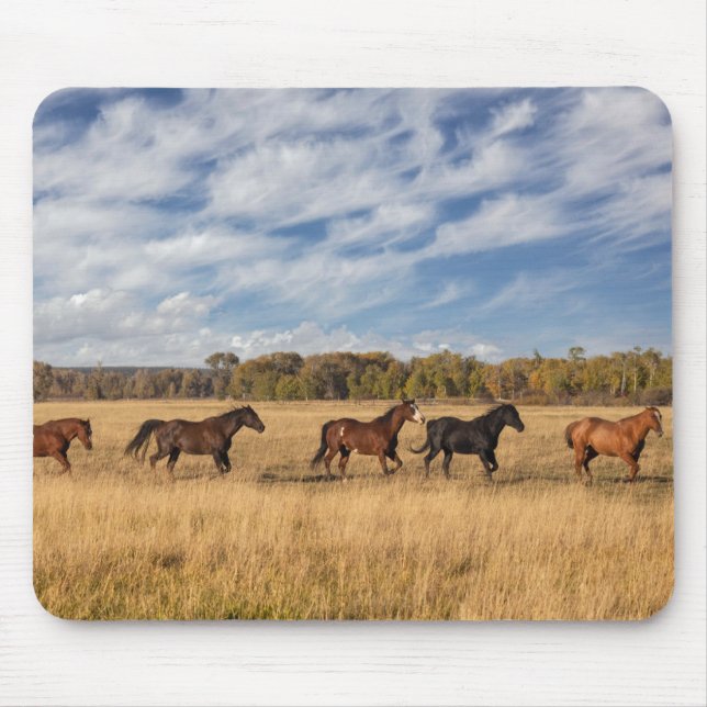 Horses Just Outside Grand Teton National Park Mouse Mat (Front)